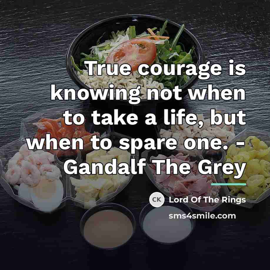 “True courage is knowing not when to take a life,…” quote by Lord Of The Rings
