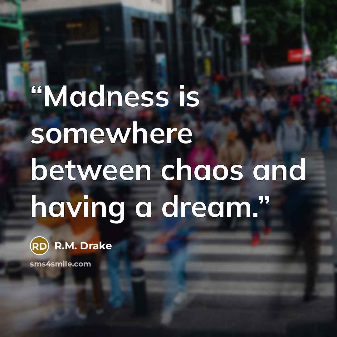 “Madness is somewhere between chaos and having a dream.” quote by R.M. Drake