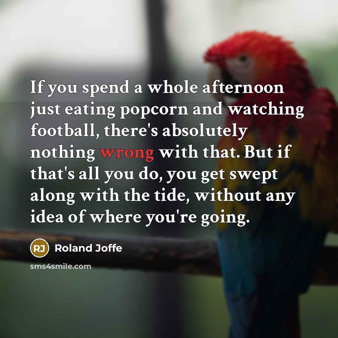 “If you spend a whole afternoon just eating popcorn and…” quote by Roland Joffe