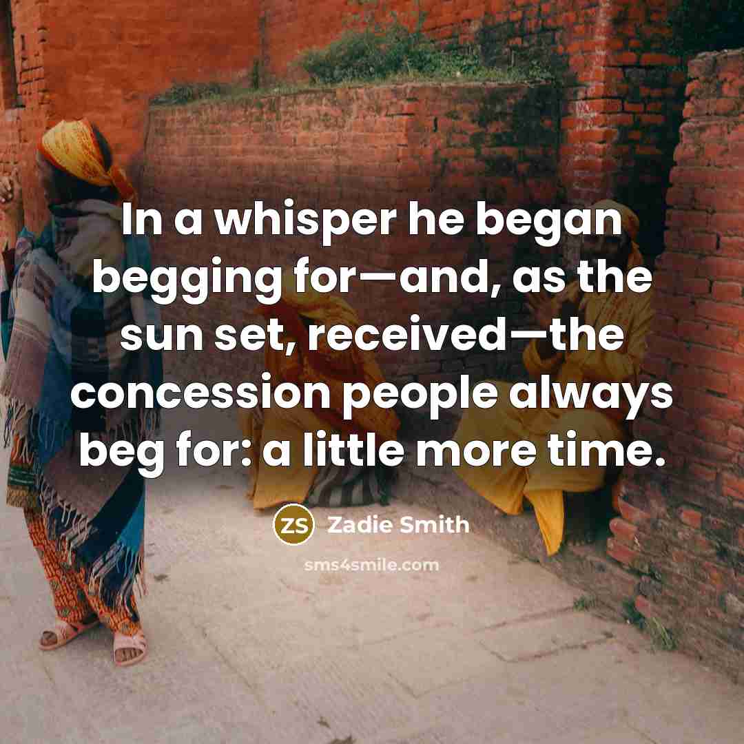 “In a whisper he began begging for—and, as the sun…” quote by Zadie Smith
