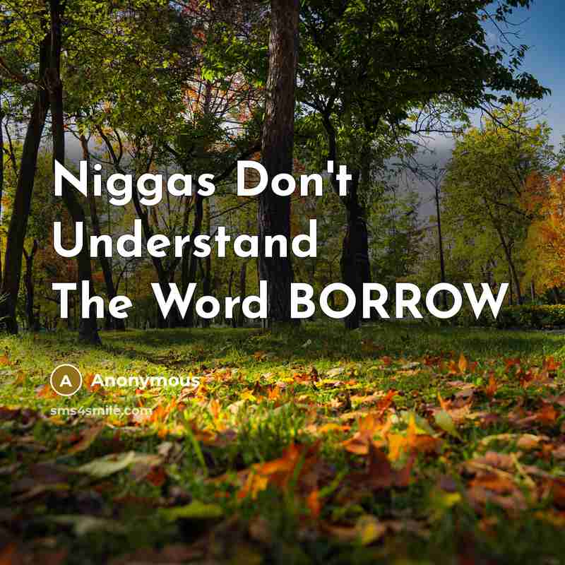 “Niggas Don't Understand The Word BORROW…” quote by Anonymous