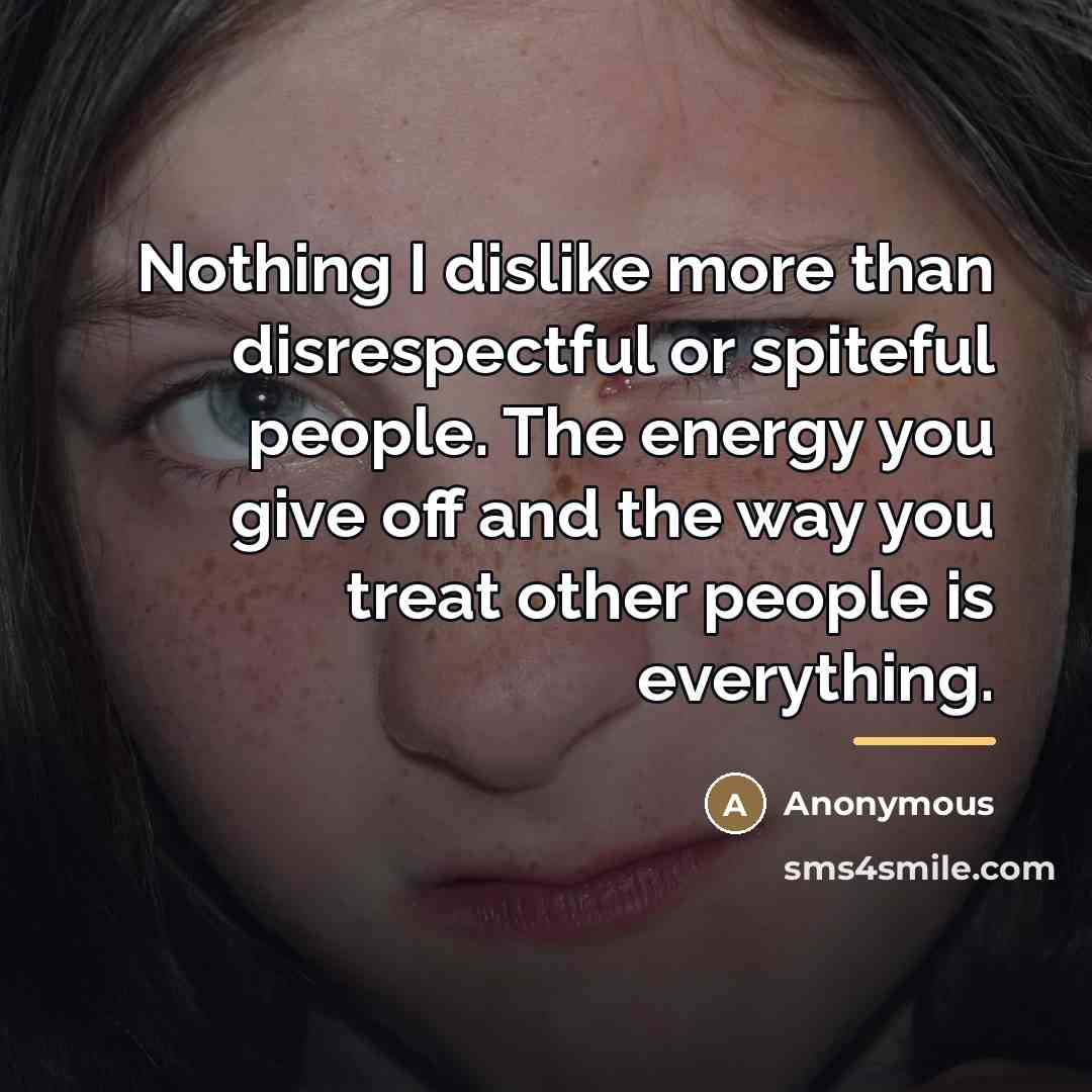 “Nothing I dislike more than disrespectful or spiteful people. The…” quote by Anonymous