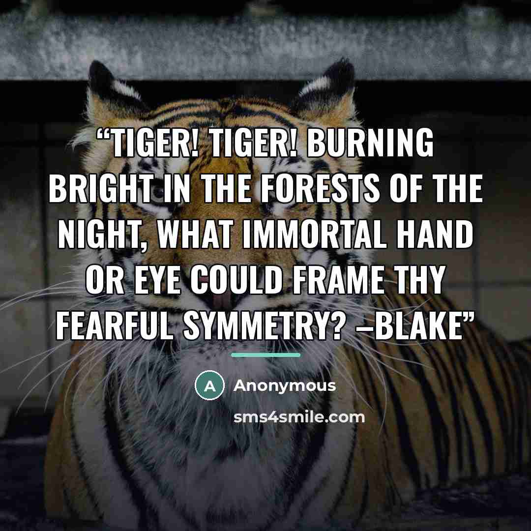 “Tiger! Tiger! burning bright In the forests of the night, What immortal hand or eye Could frame thy fearful symmetry? –Blake” quote by Anonymous