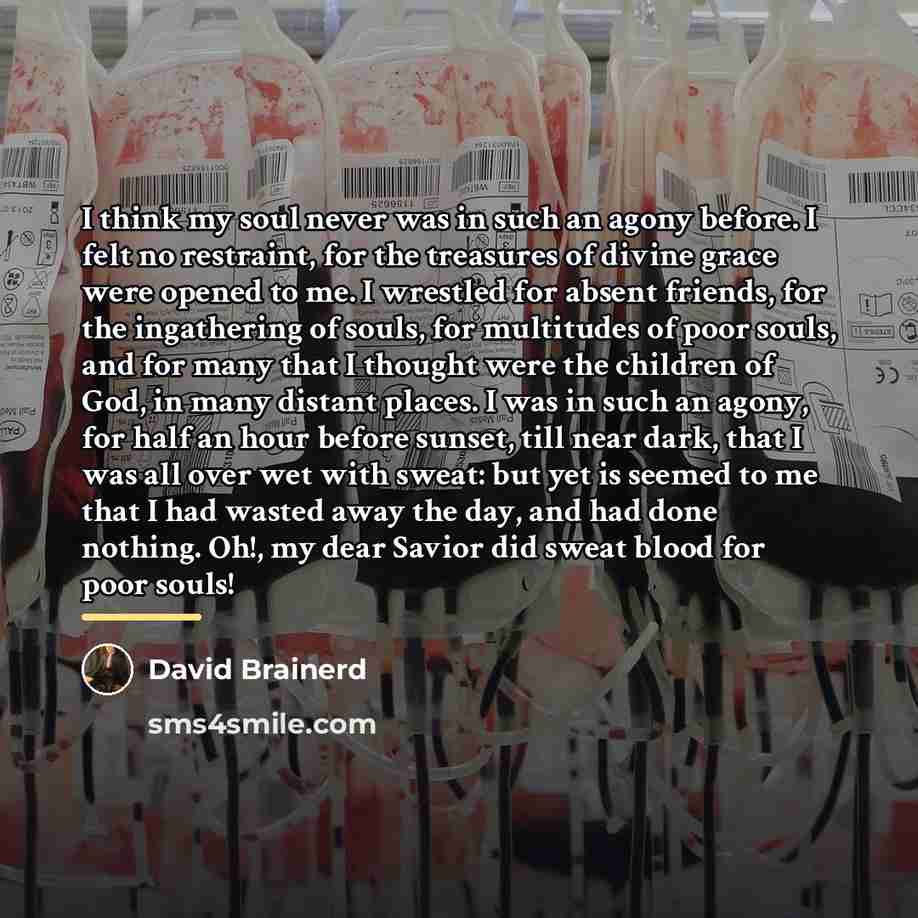 “I think my soul never was in such an agony…” quote by David Brainerd