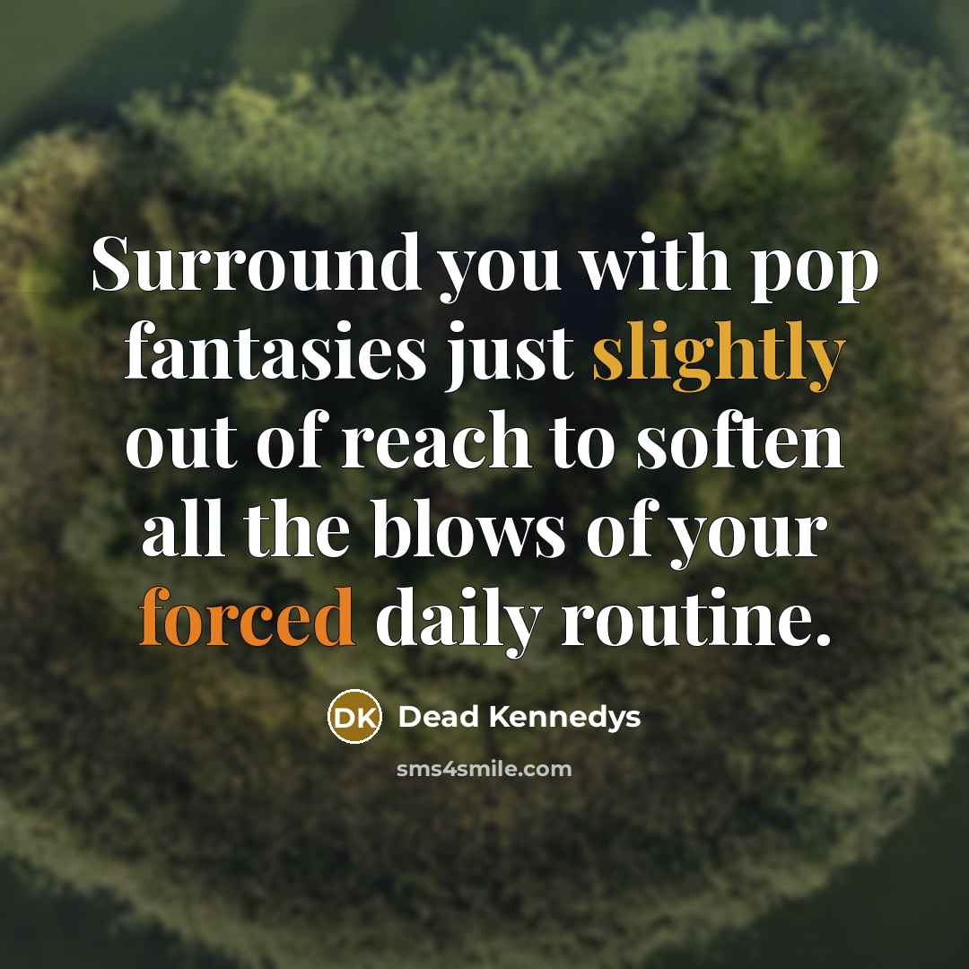 “Surround you with pop fantasies just slightly out of reach…” quote by Dead Kennedys