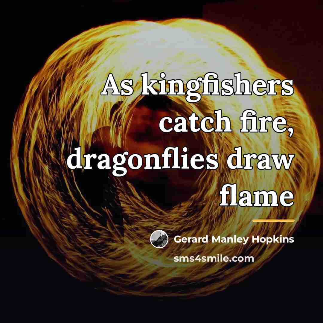 “As kingfishers catch fire, dragonflies draw flame…” quote by Gerard Manley Hopkins