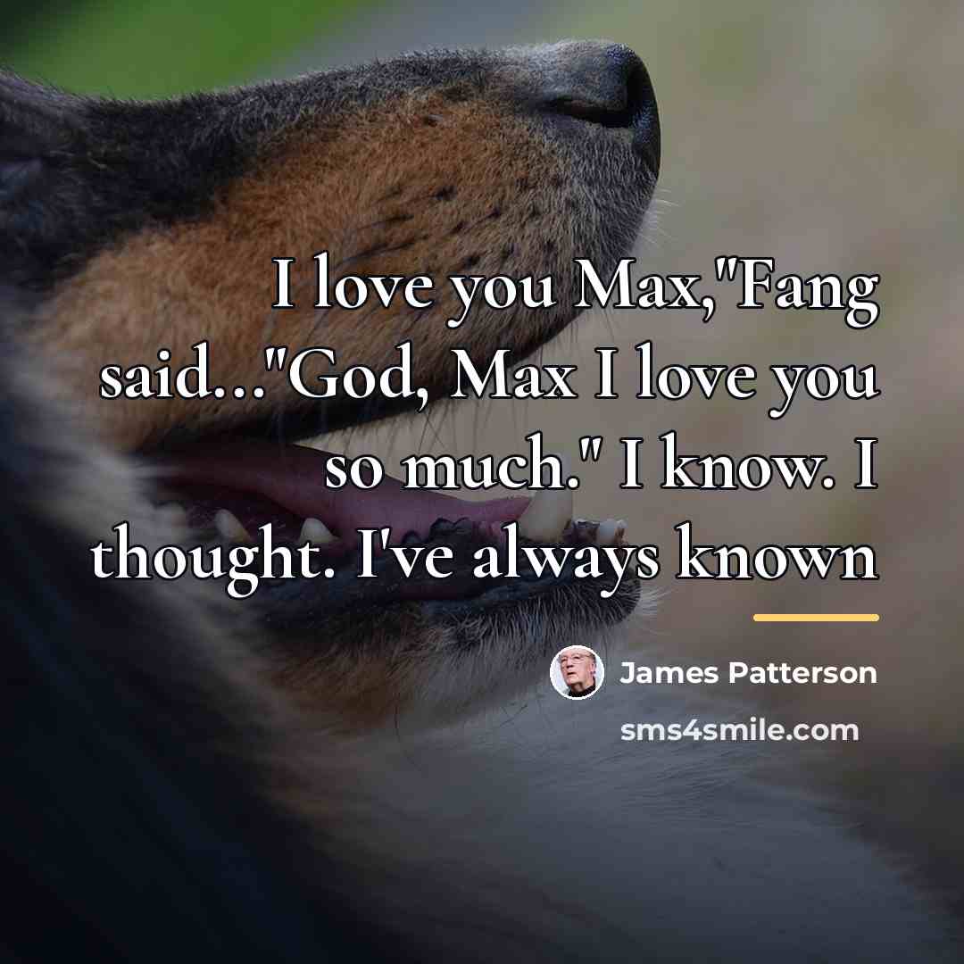 “I love you Max,"Fang said..."God, Max I love you so…” quote by James Patterson