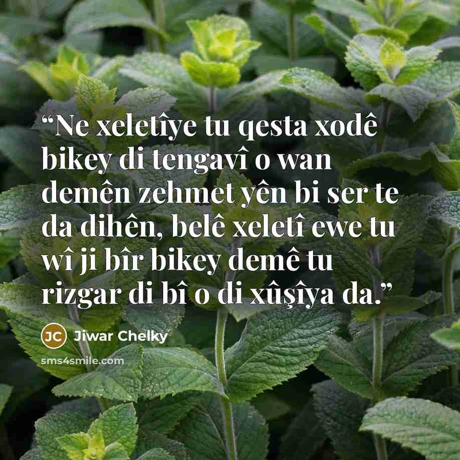 “Ne xeletîye tu qesta xodê bikey di tengavî o wan demên zehmet yên bi ser te da dihên, belê xeletî ewe tu wî ji bîr bikey demê tu rizgar di bî o di xûşîya da.” quote by Jiwar Chelky