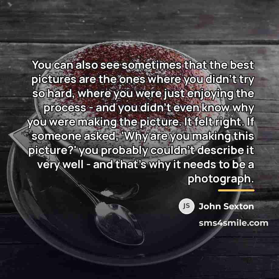 “You can also see sometimes that the best pictures are…” quote by John Sexton