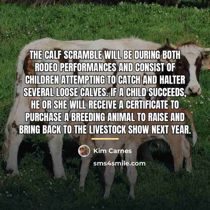“The calf scramble will be during both rodeo performances and…” quote by Kim Carnes