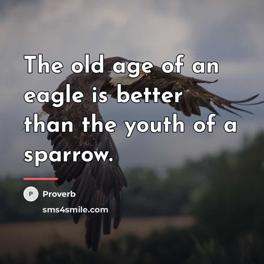 “The old age of an eagle is better than the…” quote by Proverb