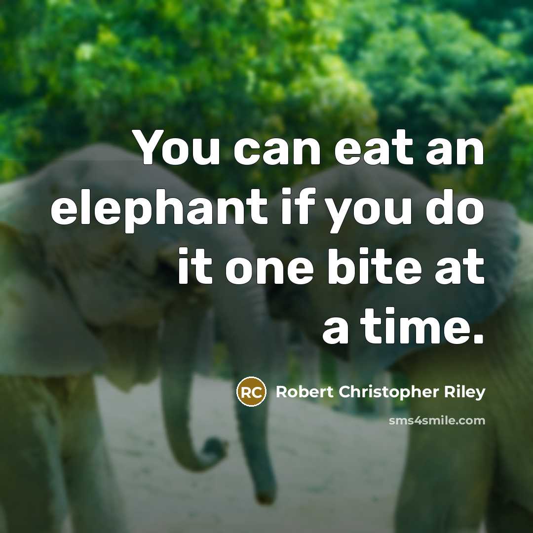 “You can eat an elephant if you do it one…” quote by Robert Christopher Riley