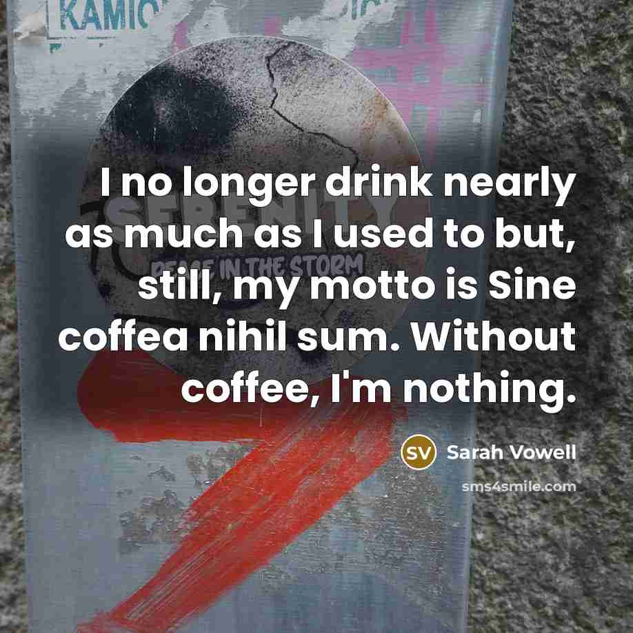 “I no longer drink nearly as much as I used…” quote by Sarah Vowell