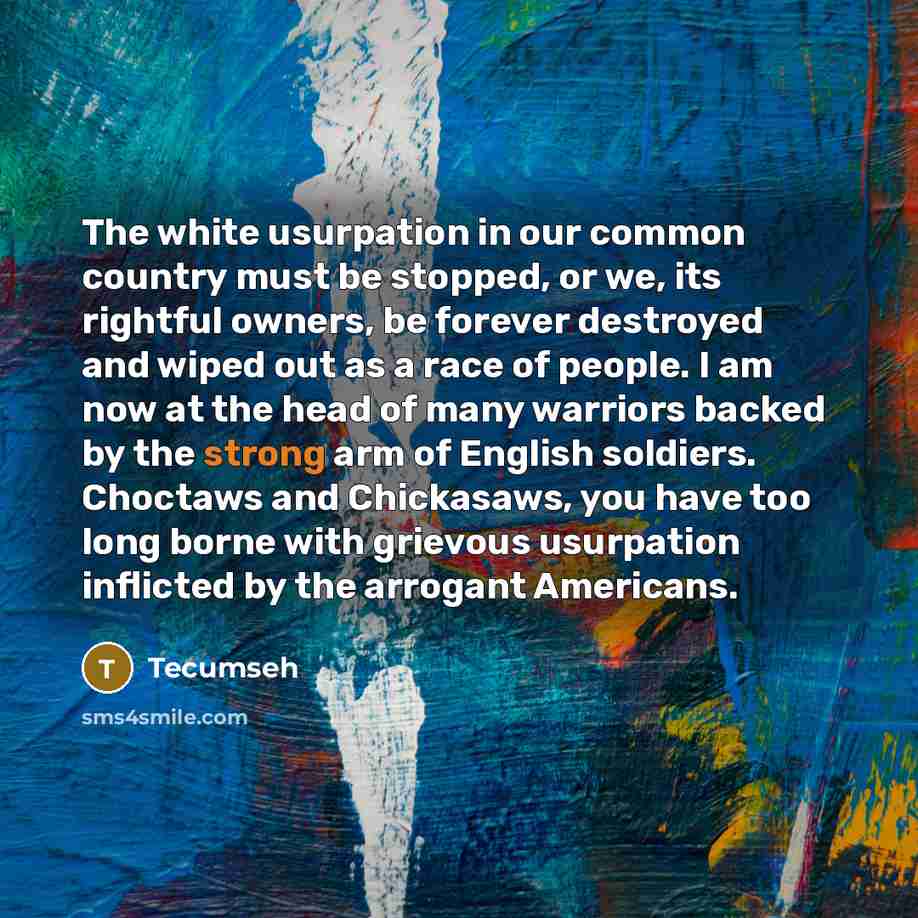 “The white usurpation in our common country must be stopped,…” quote by Tecumseh
