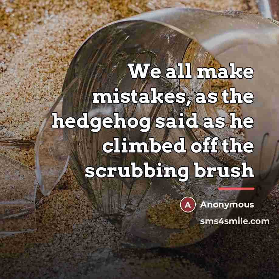 “We all make mistakes, as the hedgehog said as he…” quote by Anonymous