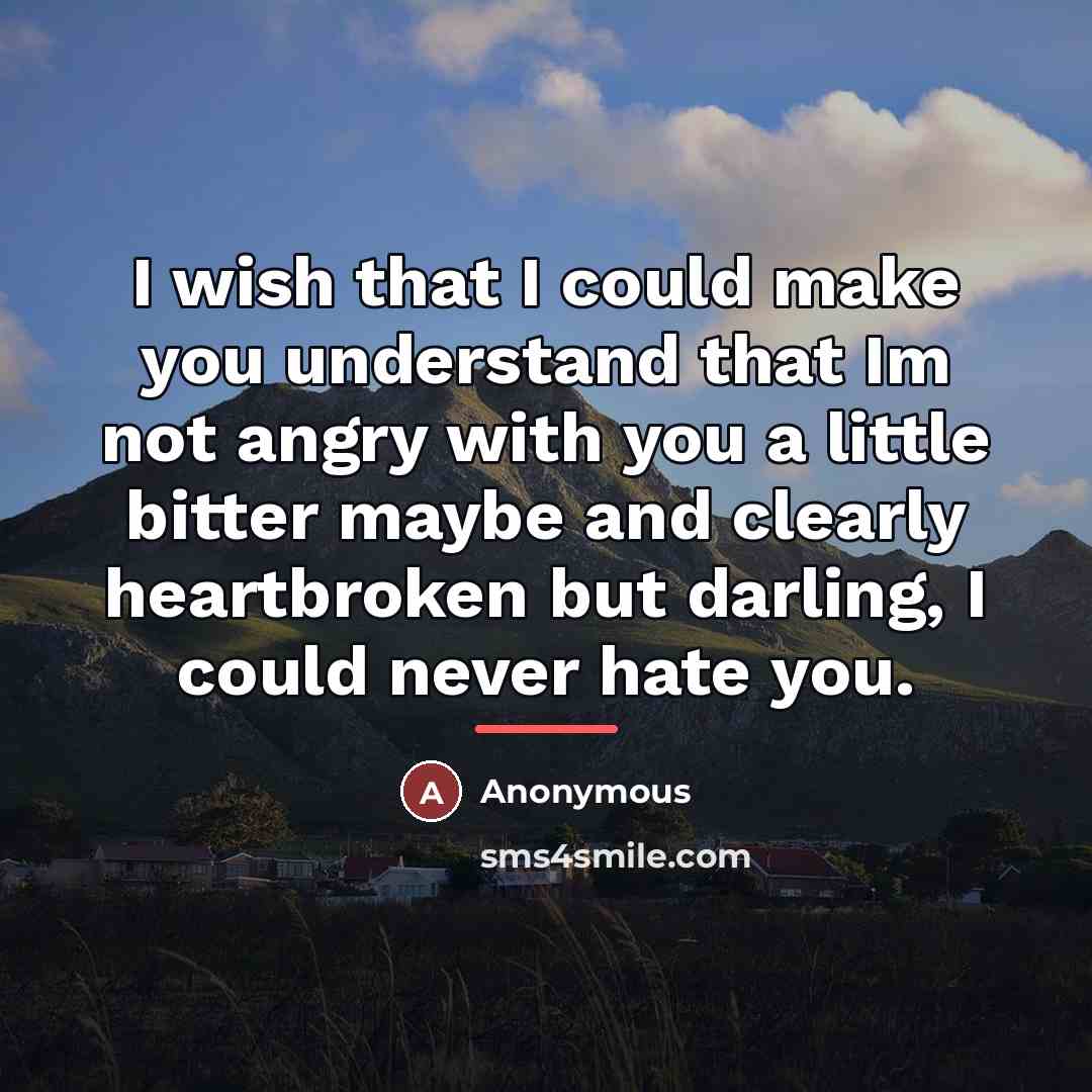 “I wish that I could make you understand that Im…” quote by Anonymous