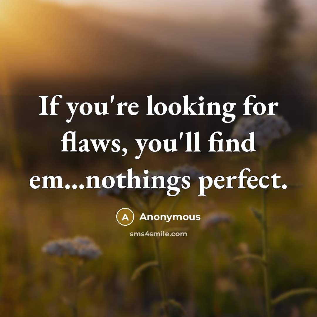 “If you're looking for flaws, you'll find em...nothings perfect.” quote by Anonymous