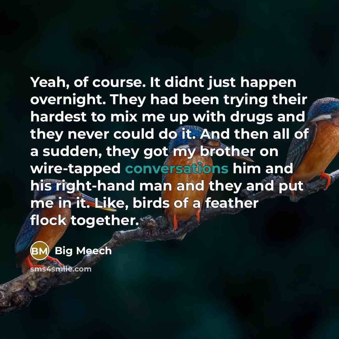 “Yeah, of course. It didnt just happen overnight. They had been trying their hardest to mix me up with drugs and they never could do it. And then all of a sudden, they got my brother on wire-tapped conversations him and his right-hand man and they and put me in it. Like, birds of a feather flock…” quote by Big Meech