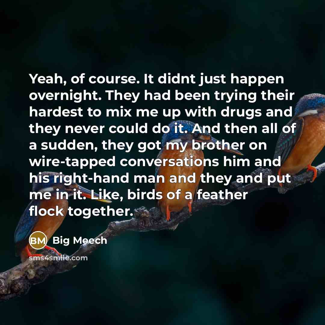 “Yeah, of course. It didnt just happen overnight. They had…” quote by Big Meech