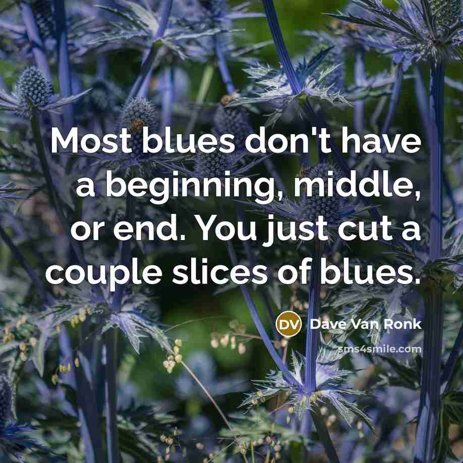 “Most blues don't have a beginning, middle, or end. You just cut a couple slices of blues.” quote by Dave Van Ronk