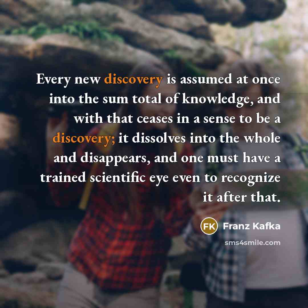 “Every new discovery is assumed at once into the sum…” quote by Franz Kafka