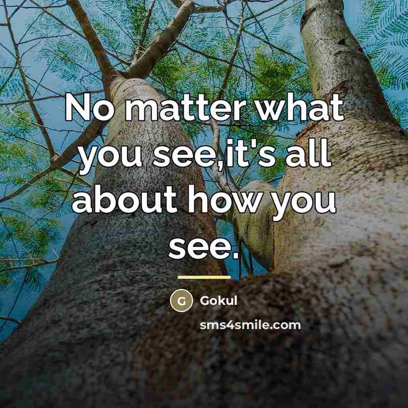 “No matter what you see,it's all about how you see.…” quote by Gokul