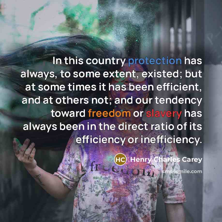 “In this country protection has always, to some extent, existed;…” quote by Henry Charles Carey