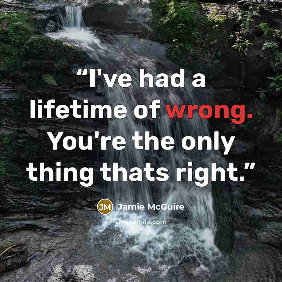 “I've had a lifetime of wrong. You're the only thing thats right.” quote by Jamie McGuire