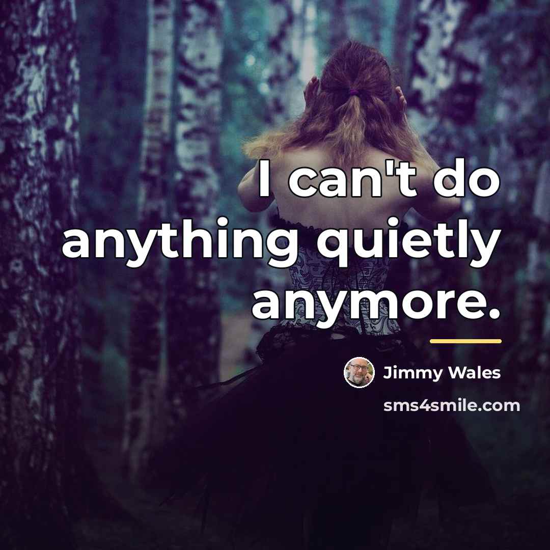 “I can't do anything quietly anymore.…” quote by Jimmy Wales