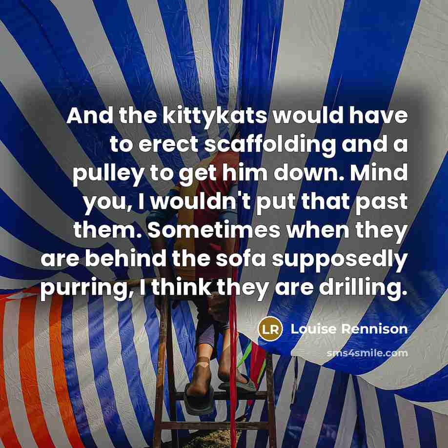 “And the kittykats would have to erect scaffolding and a…” quote by Louise Rennison
