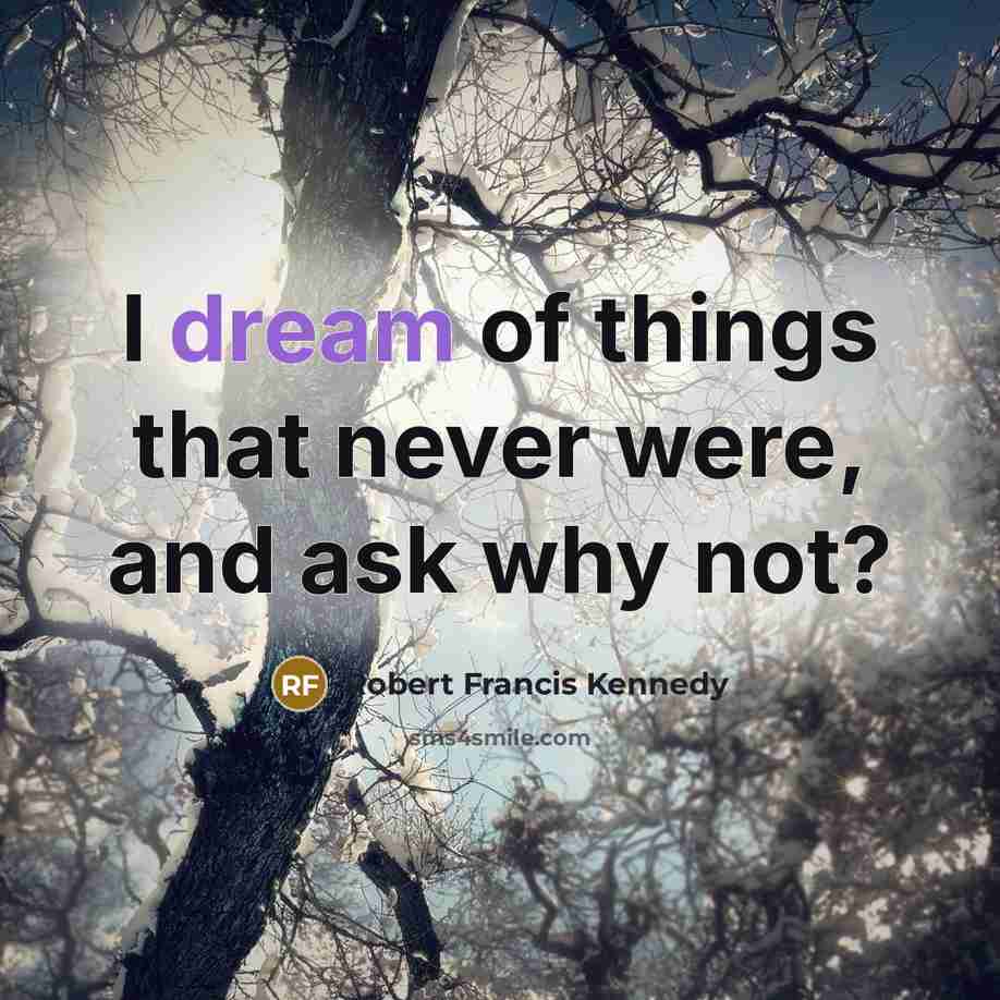 “I dream of things that never were, and ask why…” quote by Robert Francis Kennedy