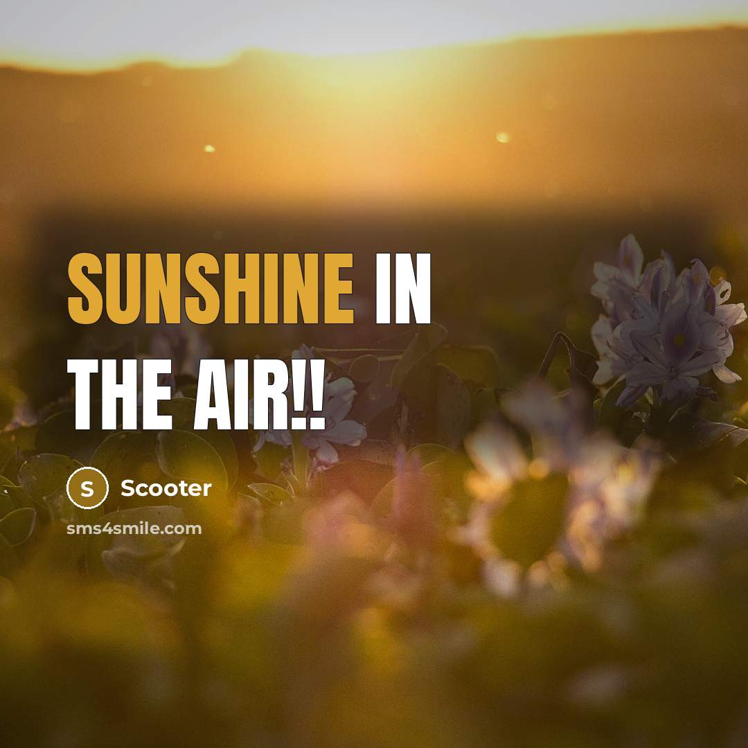 “Sunshine in the air!!…” quote by Scooter