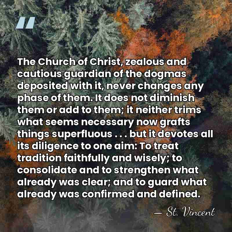 The Church of Christ, zealous and cautious guardian of the dogmas deposited&hellip; - St. Vincent