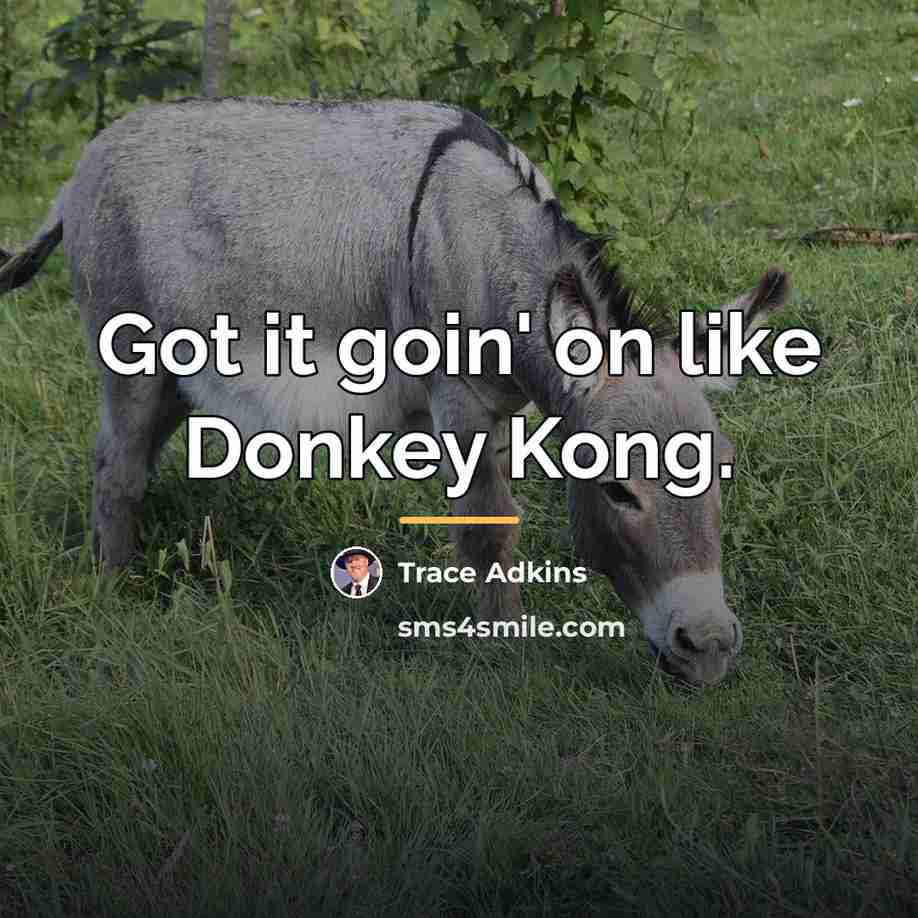 “Got it goin' on like Donkey Kong.…” quote by Trace Adkins
