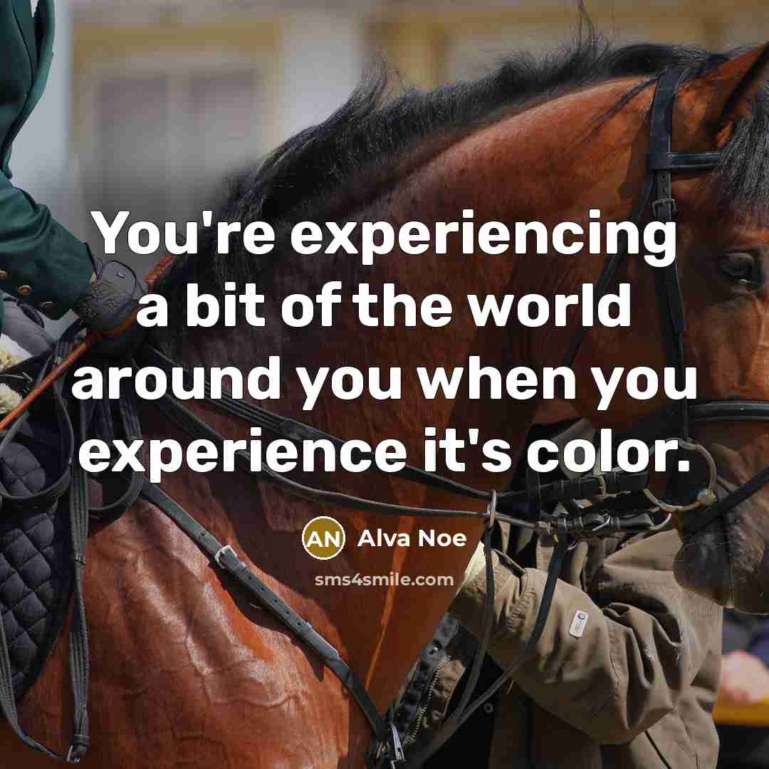 “You're experiencing a bit of the world around you when…” quote by Alva Noe