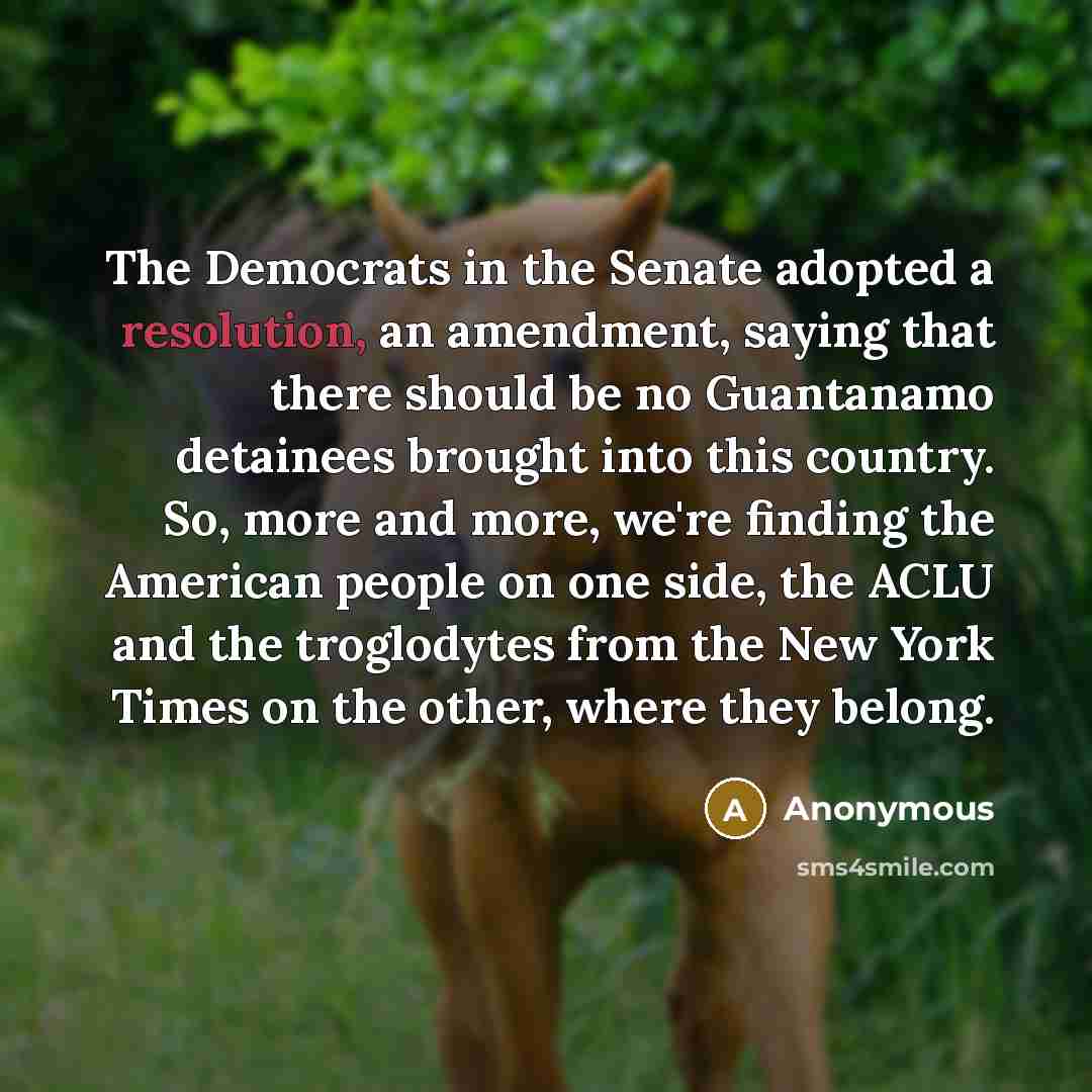 “The Democrats in the Senate adopted a resolution, an amendment,…” quote by Anonymous