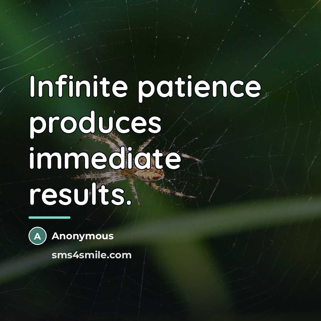 “Infinite patience produces immediate results.…” quote by Anonymous
