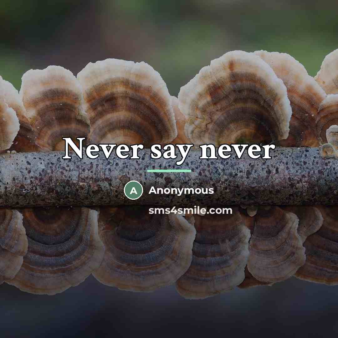 “Never say never…” quote by Anonymous