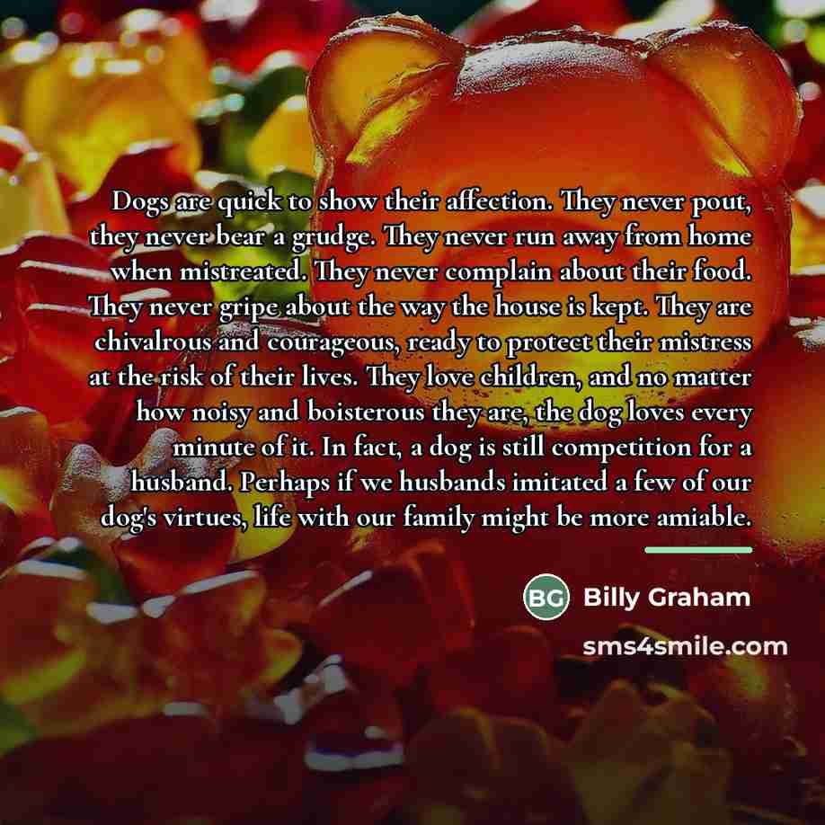 “Dogs are quick to show their affection. They never pout,…” quote by Billy Graham