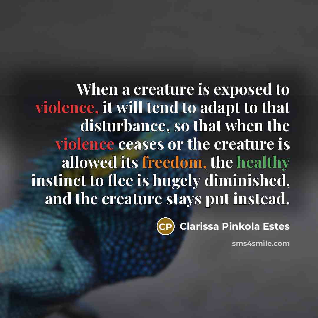“When a creature is exposed to violence, it will tend to adapt to that disturbance, so that when the violence ceases or the creature is allowed its freedom, the healthy instinct to flee is hugely diminished, and the creature stays put instead.” quote by Clarissa Pinkola Estes