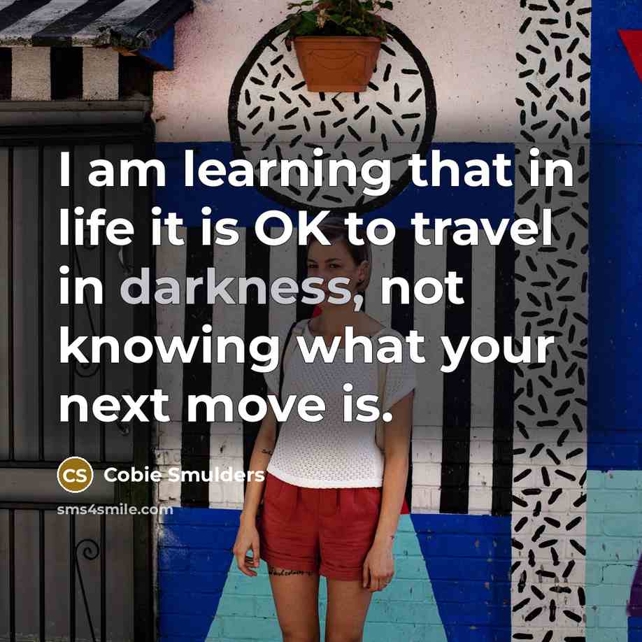 “I am learning that in life it is OK to…” quote by Cobie Smulders