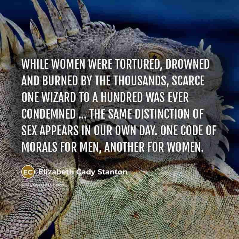 “While women were tortured, drowned and burned by the thousands,…” quote by Elizabeth Cady Stanton