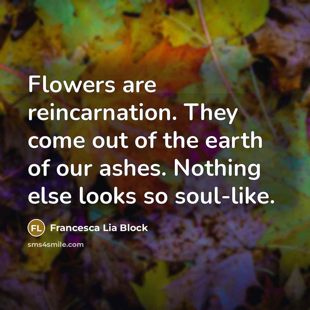 “Flowers are reincarnation. They come out of the earth of…” quote by Francesca Lia Block