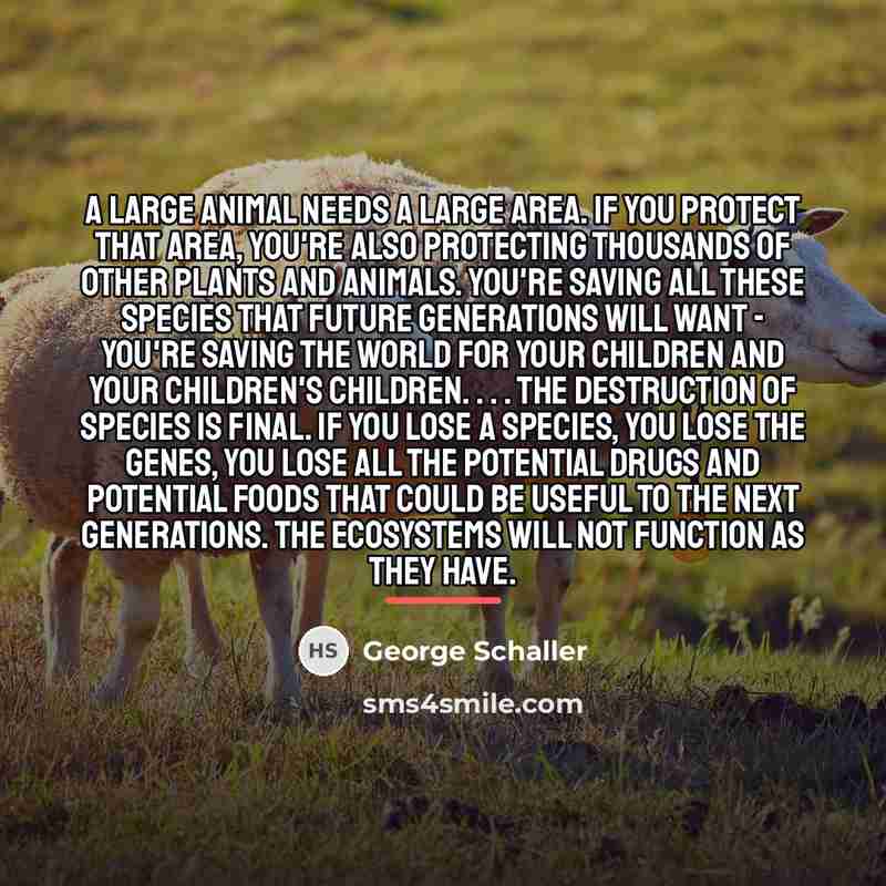 “A large animal needs a large area. If you protect…” quote by George Schaller