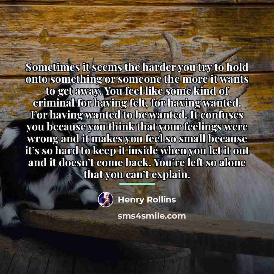 “Sometimes it seems the harder you try to hold onto…” quote by Henry Rollins