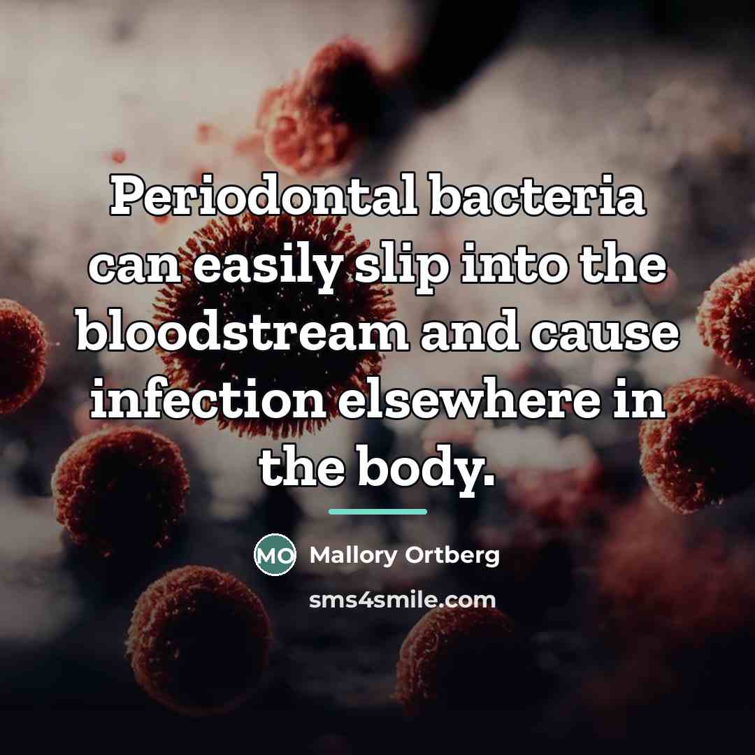 “Periodontal bacteria can easily slip into the bloodstream and cause…” quote by Mallory Ortberg