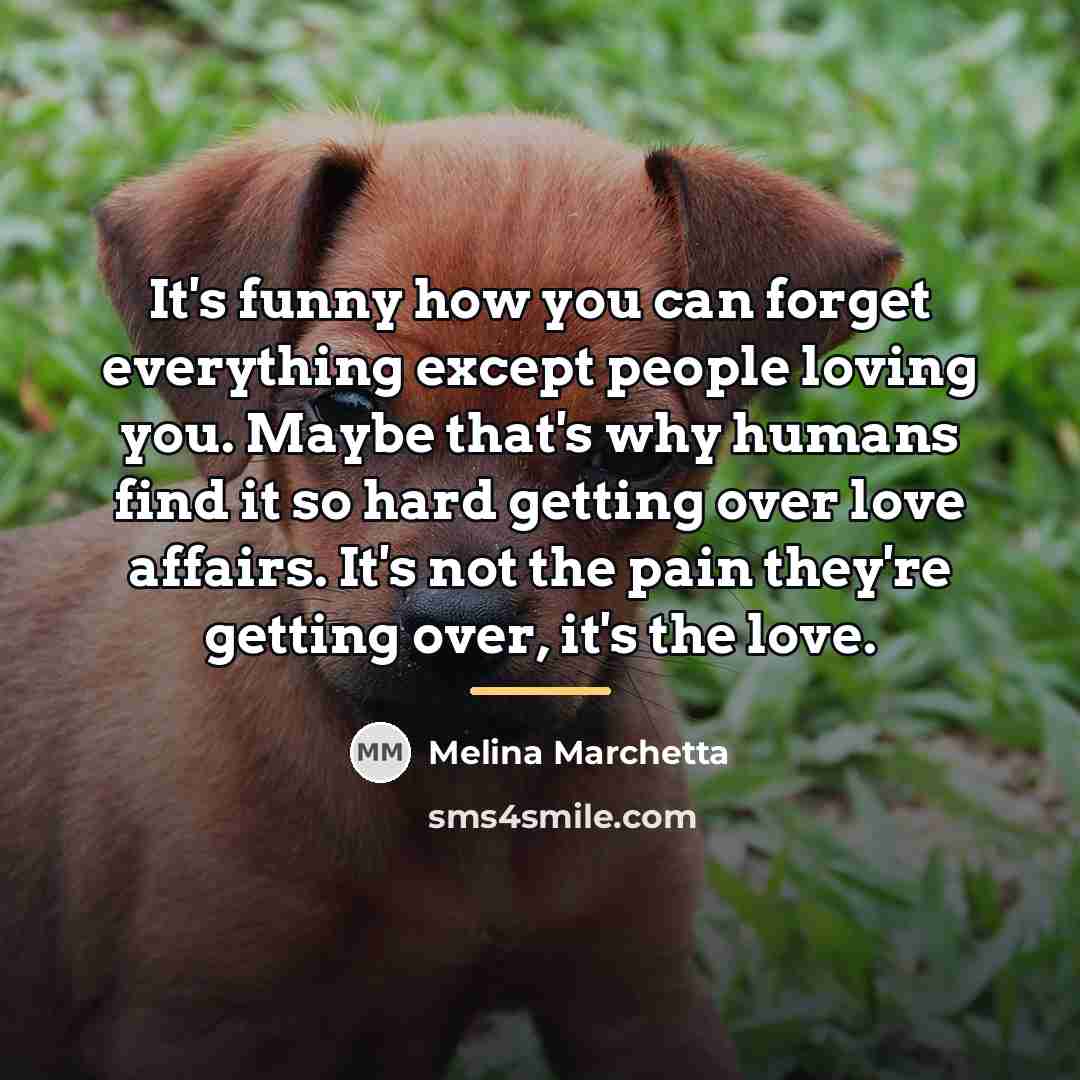 “It's funny how you can forget everything except people loving…” quote by Melina Marchetta