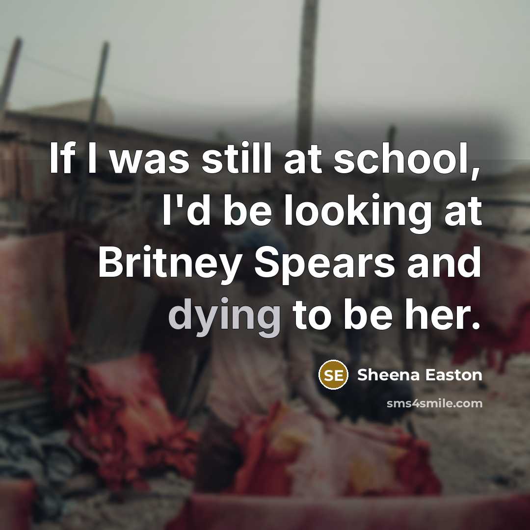 “If I was still at school, I'd be looking at…” quote by Sheena Easton