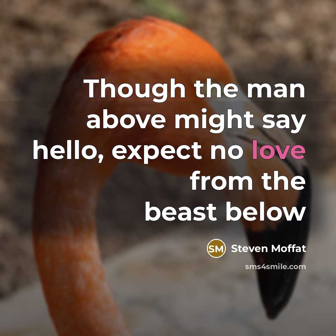 “Though the man above might say hello, expect no love…” quote by Steven Moffat