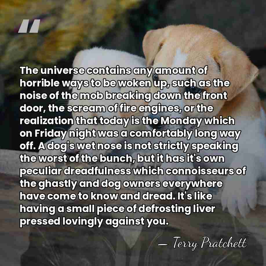 The universe contains any amount of horrible ways to be woken up,&hellip; - Terry Pratchett